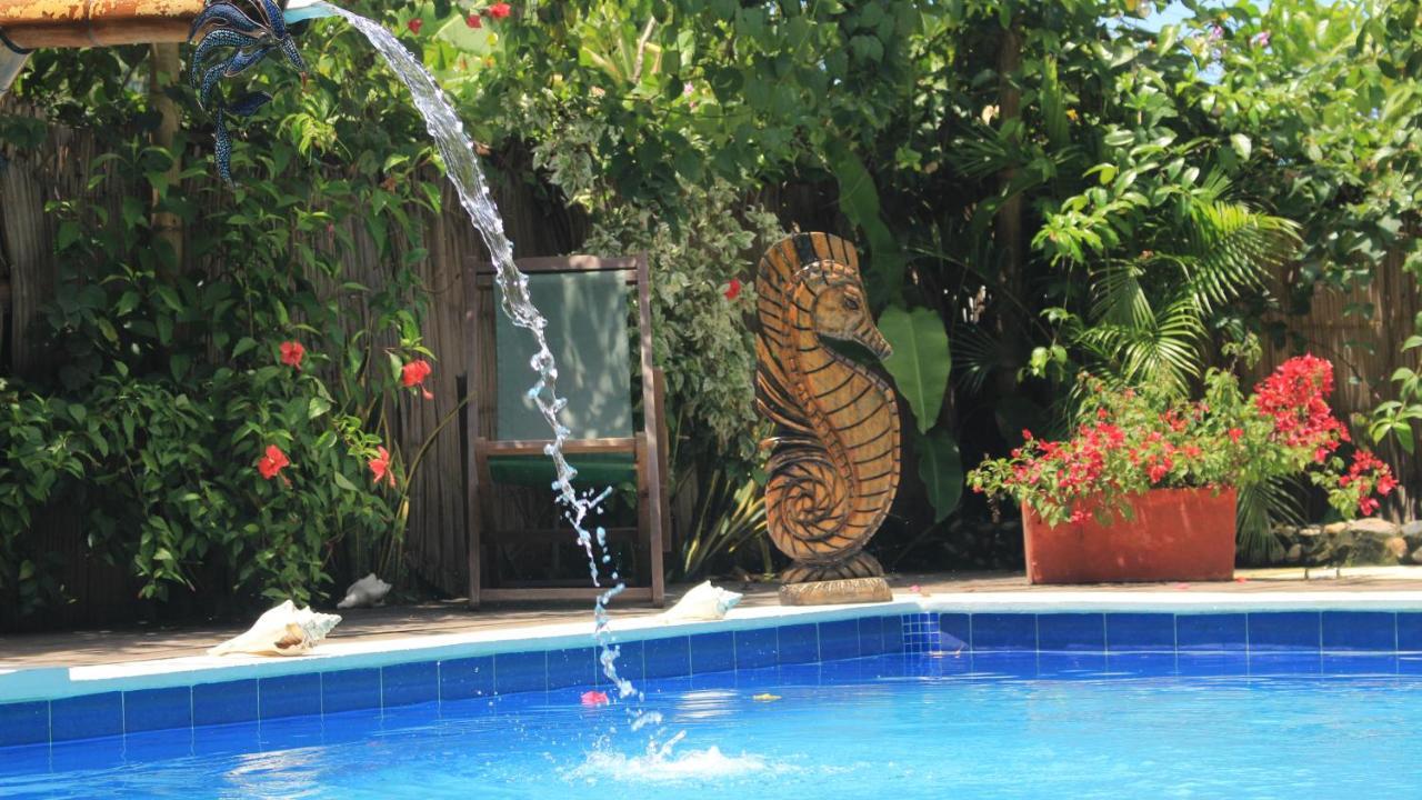La Natura Hostel & Pool Palomino Exterior foto
