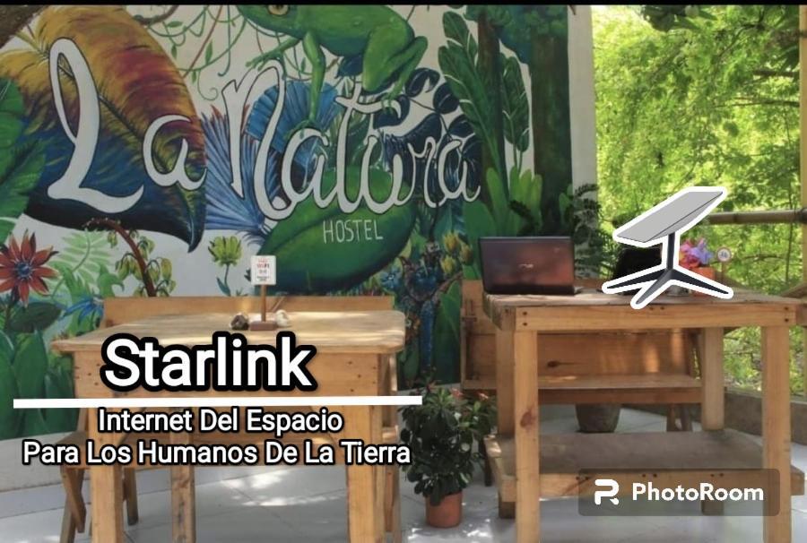 La Natura Hostel & Pool Palomino Exterior foto