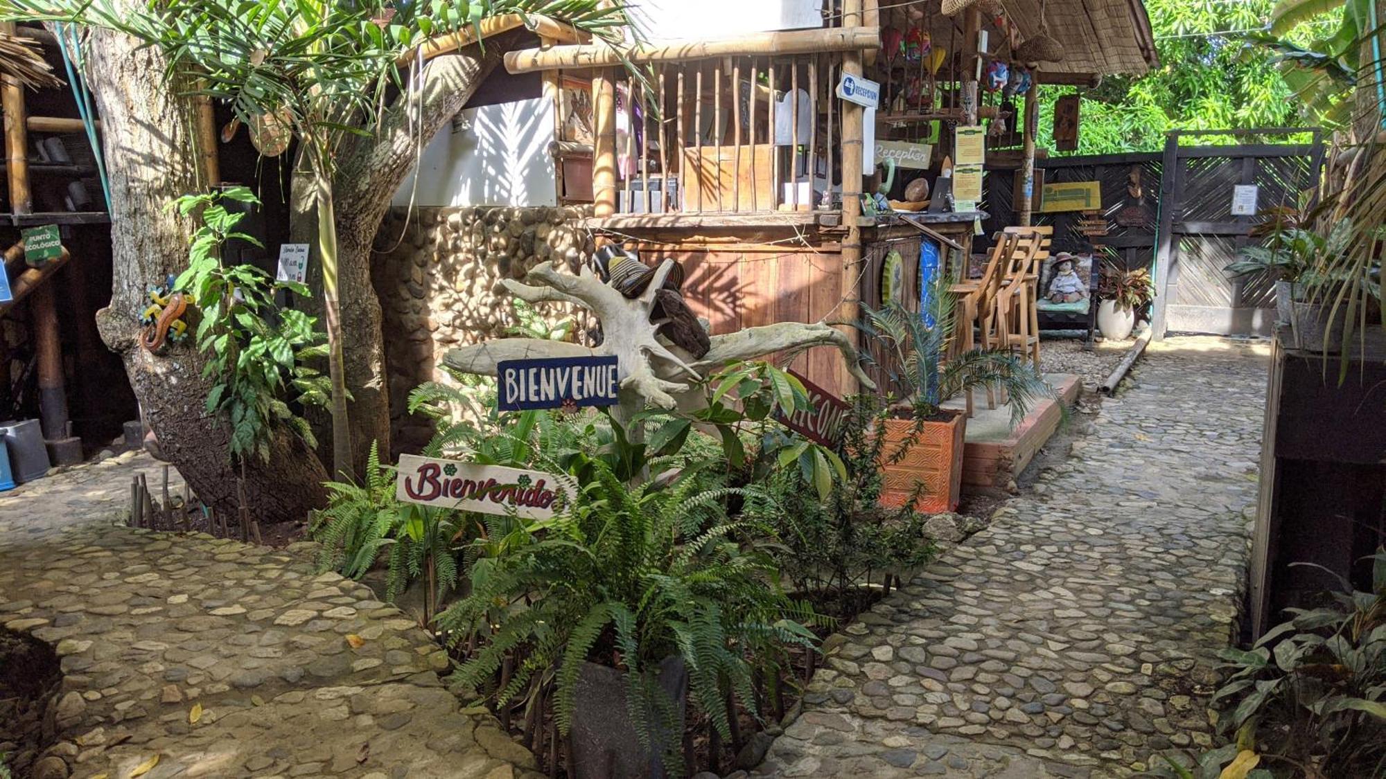 La Natura Hostel & Pool Palomino Exterior foto