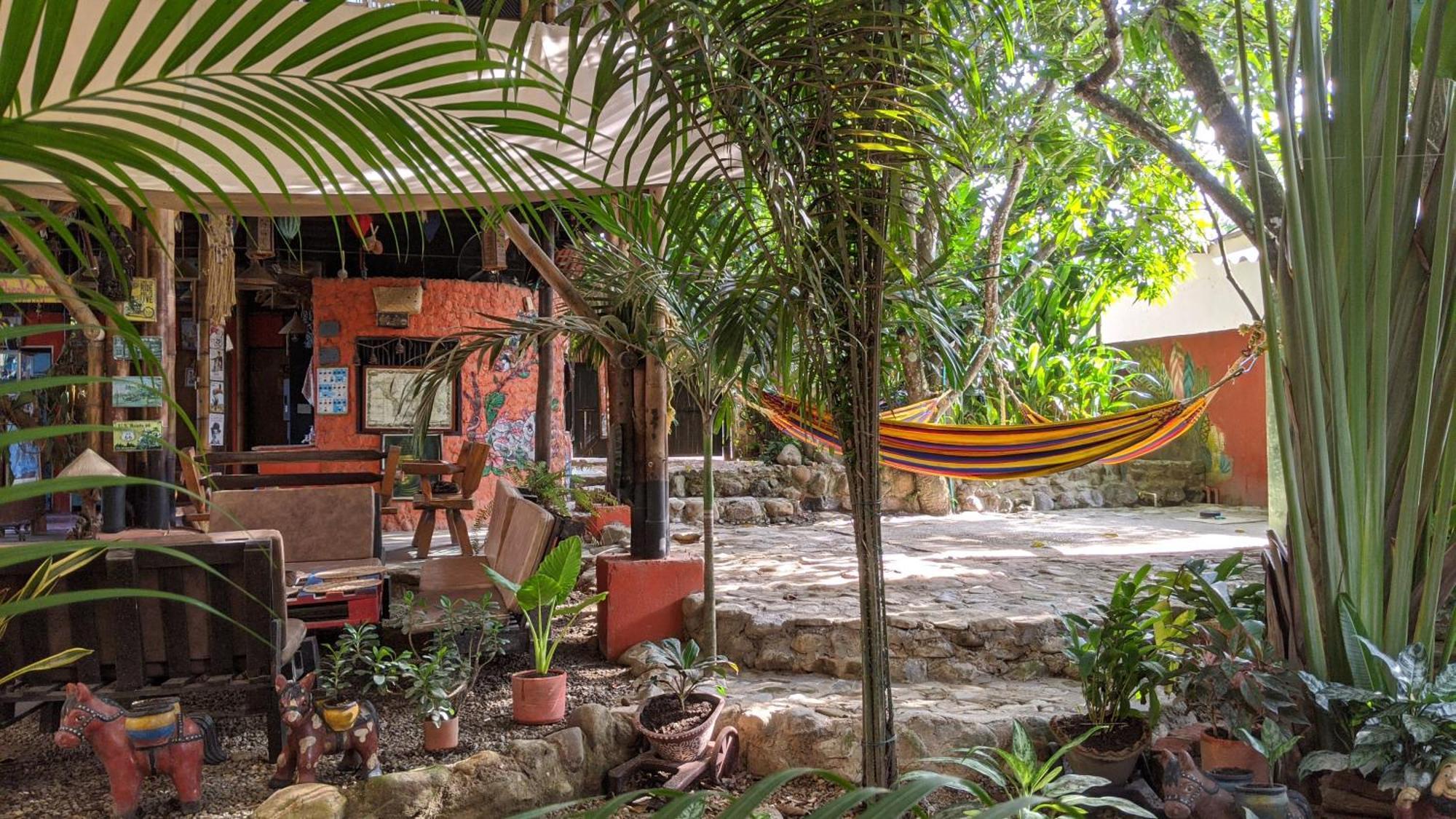 La Natura Hostel & Pool Palomino Exterior foto