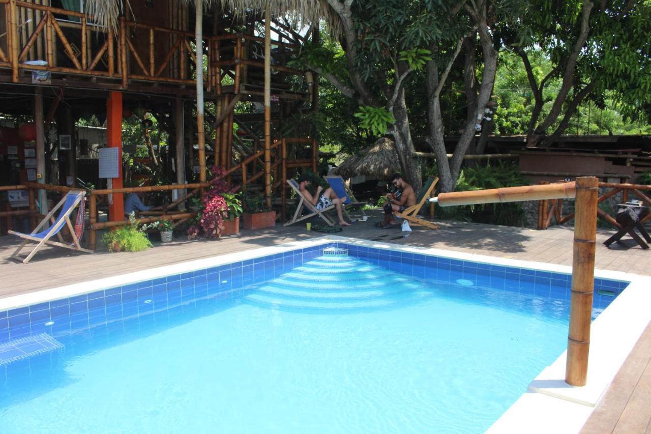La Natura Hostel & Pool Palomino Exterior foto
